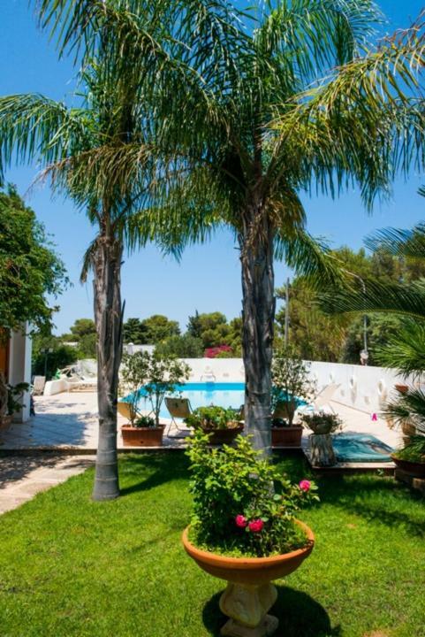 Villa Cancelliere San Vito Lo Capo Dış mekan fotoğraf
