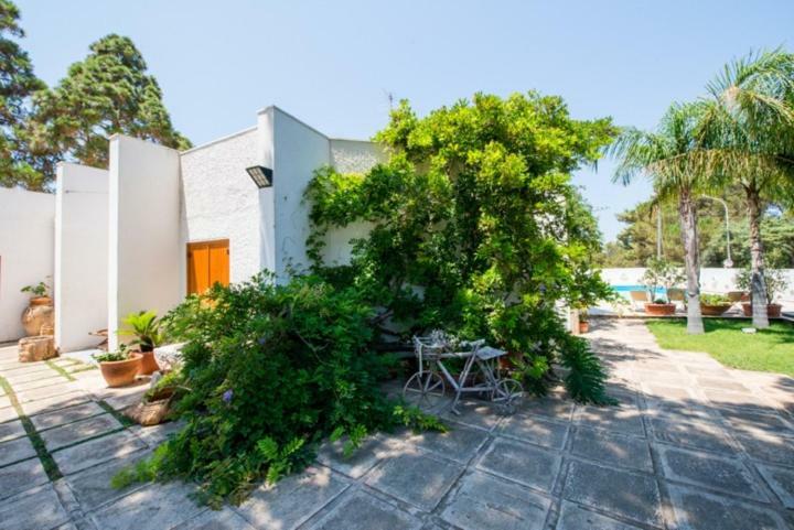 Villa Cancelliere San Vito Lo Capo Dış mekan fotoğraf